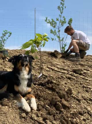 Matthias beim Bäume pflanzen, gemeinsam mit unserem Hund Poncho