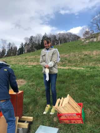 Romi beim übersiedeln ihres ersten Bienenvolkes