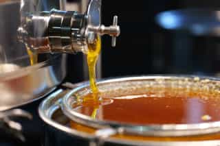 During the harvest, honey flows from the extractor into the coarse sieve