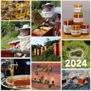 Photo collage with the highlights of the 2024 beekeeping year