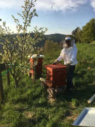 Matthias with the new, self-built beehives at the apiary