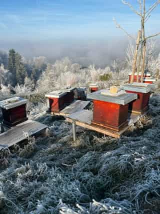 Unser Bienenstand im Winter, bedeckt mit Raureif