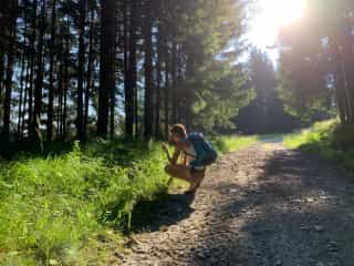 While hiking, Romi examines interesting plants on the side of the path